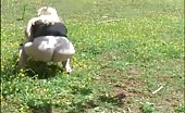 Blonde wife shitting outdoor