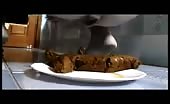 Huge turd dropped on white plate