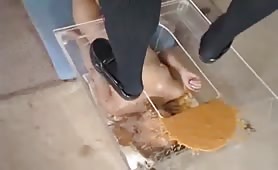 Shit and puke on a female slave