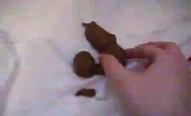 Trying to pick the perfect turd