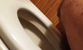 Shit in a toilet