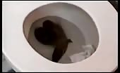 Brunette teen with curly hair pooping