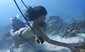 Brunette mermaid shits underwater