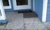 Chick on glasses poops on the front porch