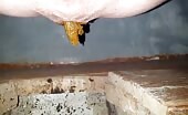 Sexy babe shitting in a dirty hole