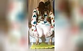 Lovely brunette gal shitting nice turds 