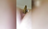 Young amateur lady shits 