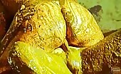 Dirty lady smearing and masturbating in shit 