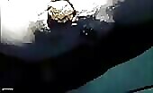 HD view of sexy ass and poop 