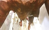 Slut holding shit in mouth