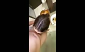 Young scat couple in toilet